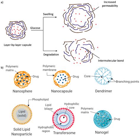 Polymers Free Full Text Polymer Based Nanoparticle Strategies For