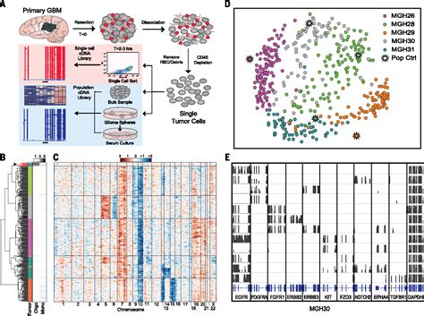 Figure 1 From Patel Glioblastoma Single Cell RNA Seq Highlights