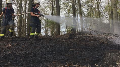 Nonstopnews Gro E Waldfl Che In Flammen Zahlreiche Feuerwehren Und