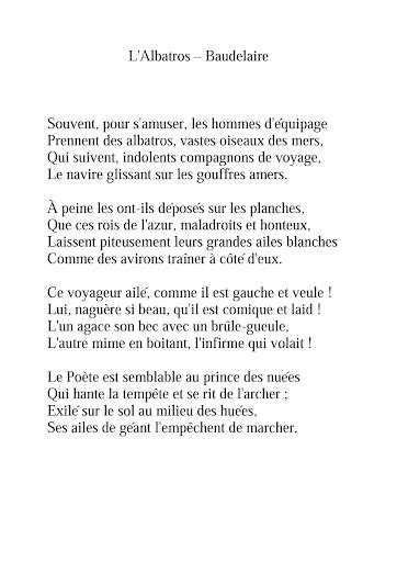 L Albatros Charles Baudelaire Google Arts Culture