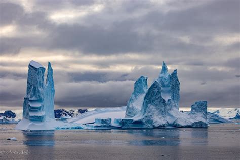 Trip Log Hds30 24 Antarctica Beyond The Polar Circle Wilkins Ice