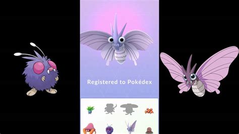 Venonat Evolution