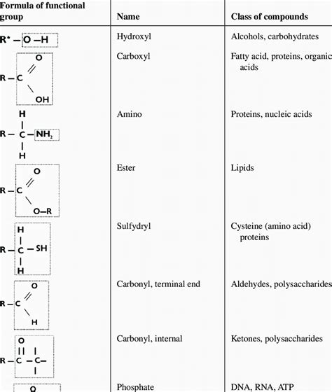 The Representative Functional Groups And Classes Of Organic Compounds