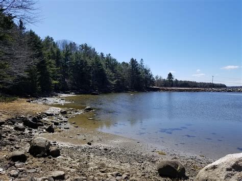 Brooklin Hancock County Me Undeveloped Land Lakefront Property