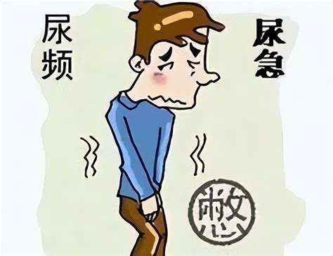 尿频、尿急、夜尿多？千古名方水陆二仙丹，补肾，固精，缩尿 哔哩哔哩