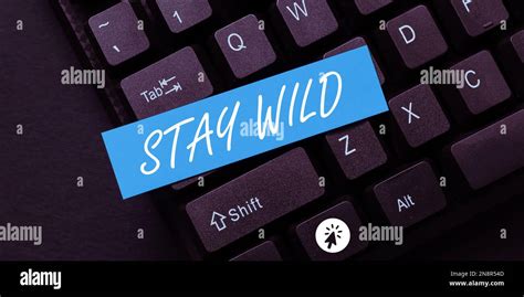 Enseigne à écriture manuscrite Stay Wild Mot pour continuer à être