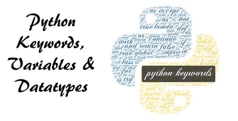 Python Keywords Variables And Data Types Trytoprogram