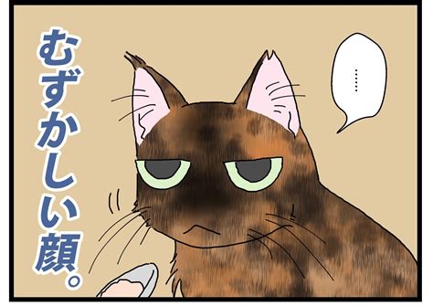 健康食品 保護猫かやさん～凛々しいサビ猫様と私～