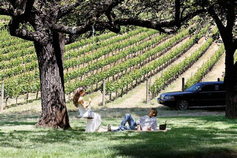 10 Best Sonoma County Wine Tours - Sonoma.com