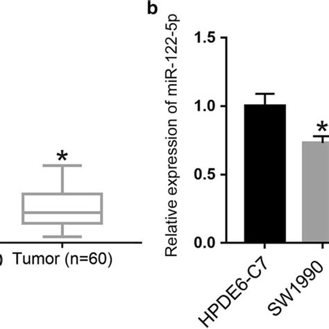 The Expression Of Mir 122 5p In Pdac Tissues And Cells A The