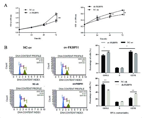 Fkbp51 Inhibits Bt325 Cell Cycle Progression And Cell Proliferation A