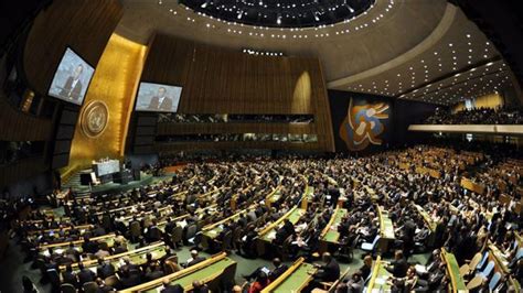 El Consejo De Derechos Humanos De La Onu Tratará El Accionar De Los