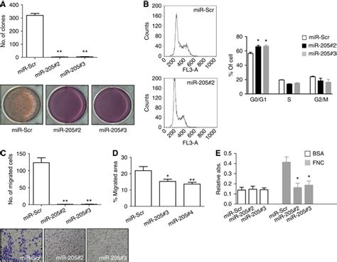 A Soft Agar Assays Demonstrated Less Capacity Of H2170 Download Scientific Diagram