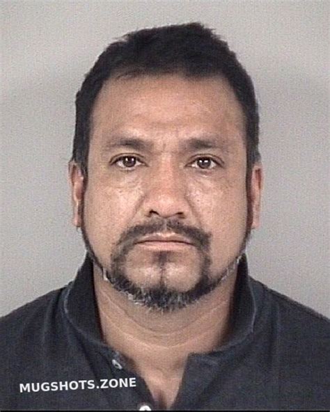 Fabela Alfredo Saavedra Cabarrus County Mugshots Zone