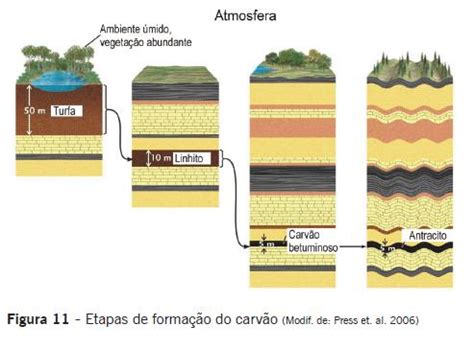 Biboca Ambiental Carv O Mineral