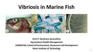 Vibriosis In Marine Fish Ppt