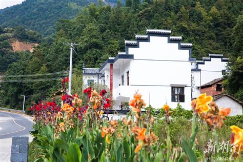 枫林镇：“枫”情万种的文旅特色小镇 郴州 华声文旅 华声在线