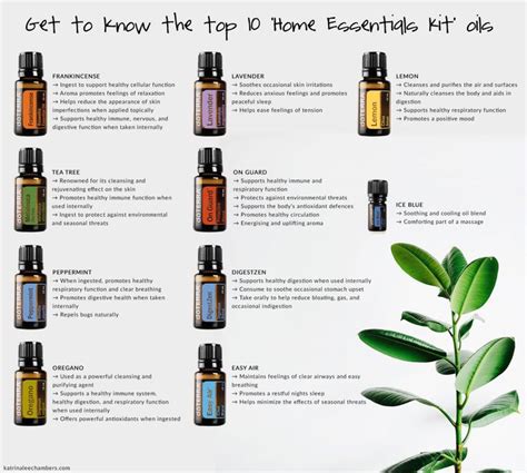 Get To Know The Top Essential Oils