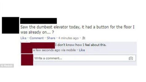 Hot Dank Memes Steven Universe Amino