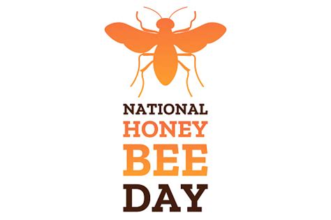 National Honey Bee Day August 15 Holiday Concept Template For