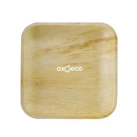 5 Inch Areca Palm Leaf Compostable Square Plates 5 At Rs 2 99 Piece In