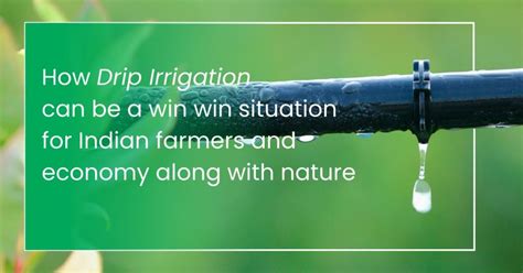 How Drip Irrigation Can Be A Win Win Situation For Indian Farmers And