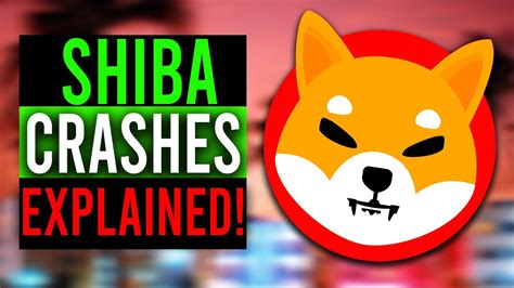 SHIBA INU CRASHED AGAIN WHY DOES THIS KEEP HAPPENING SHIBA CRASH