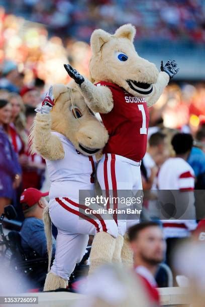 Mascot Boomer Photos and Premium High Res Pictures - Getty Images