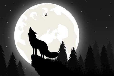 El Lobo Estepario De Hermann Hesse Significado Y An Lisis