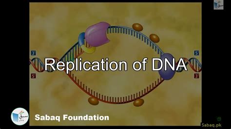 Replication Of Dna Biology Lecture Sabaqpk Youtube