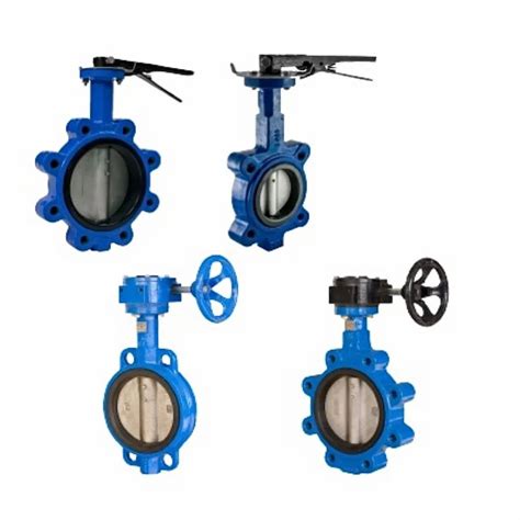 Ci Cs Ss Butterfly Valve At Rs Ci Butterfly Valve In Ahmedabad