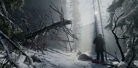 Picture Of The Revenant