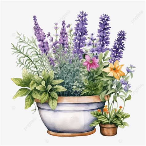 Watercolor Plant Pot Garden Clipart Plant Clipart Garden Clipart Pot