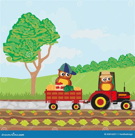 Owl Farmers stock vector. Illustration of cloth, funny - 65816321
