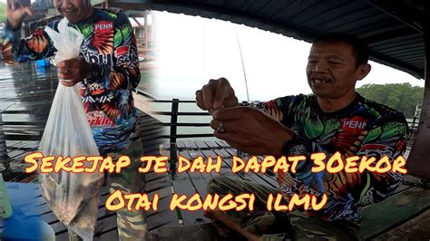 Mancing Ikan Kitang Otai Kongsi Cara Buat Perambut Ikan Kitang Youtube