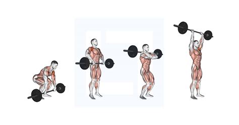 Weighted Squat Guide Benefits And Form