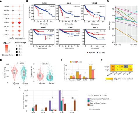 Optimizing Panel Based Tumor Mutational Burden Tmb 41 Off