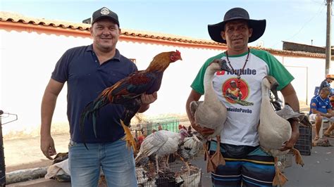 VANIO DAS GALINHAS REGISTRANDO A FEIRA NO BAIRRO BRASILIA EM ARAPIRACA