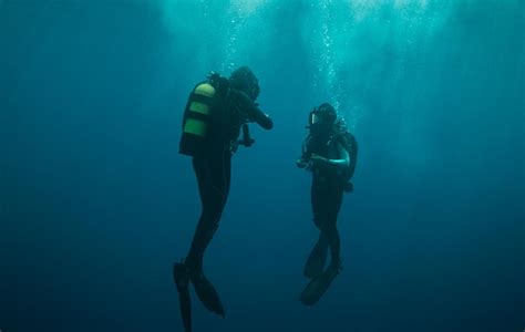 Horror Unter Wasser Survival Thrill Mit The Dive Im Kino Kino Co