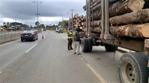 Biobío concentra el 48 de las denuncias por robo de madera de la