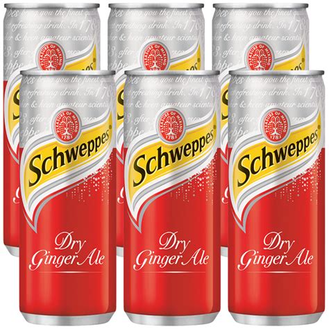 Schweppes Dry Ginger Ale 320ml X 6 Wine Not Hkg