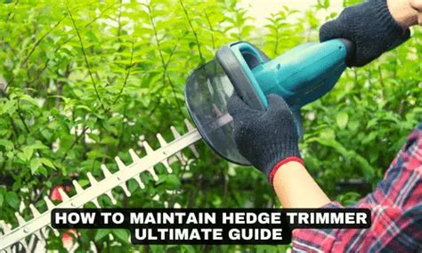 How To Maintain Hedge Trimmer