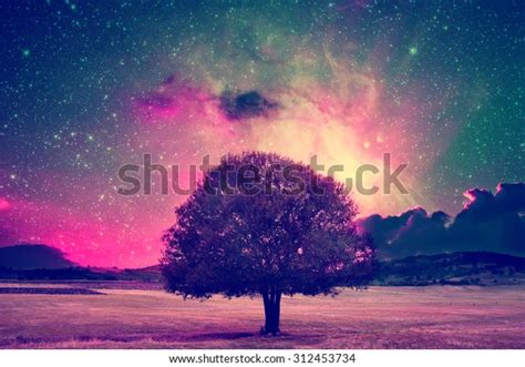 Rote Au Erirdische Landschaft Mit Eigenem Baum Stockfoto