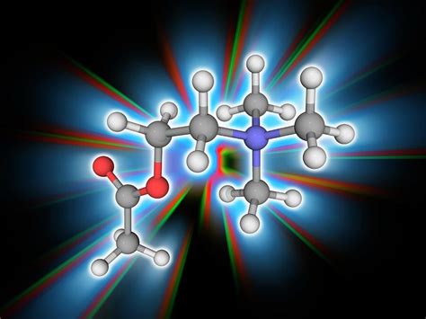 Acetylcholine Organic Compound Molecule Photograph By Laguna Design