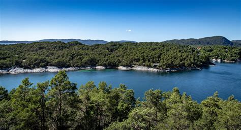 Coastal conifer forests in Western Norway - Hordaland