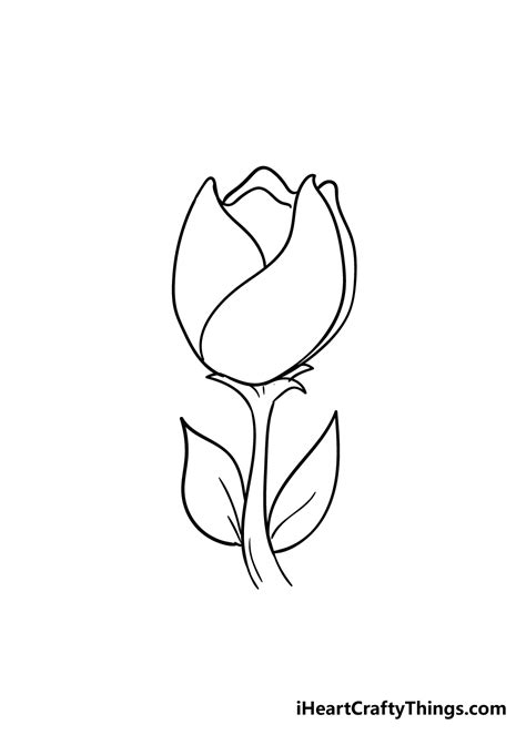 Tulip Drawing - How To Draw A Tulip Step By Step