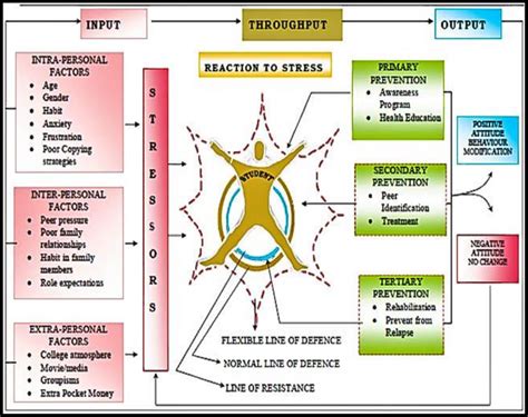 -Conceptual framework -Betty Neuman System Model | Download Scientific ...