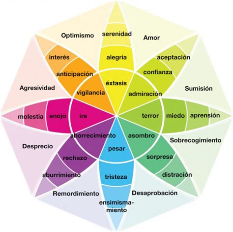 Emociones Dolor Y Sexualidad En Endometriosis Adenomiosis O Dolor