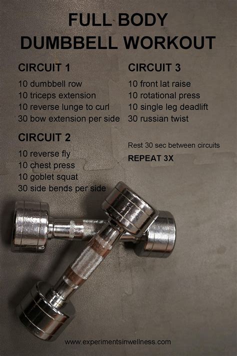 Full Body Workout With Dumbbells Experiments In Wellness Fitness