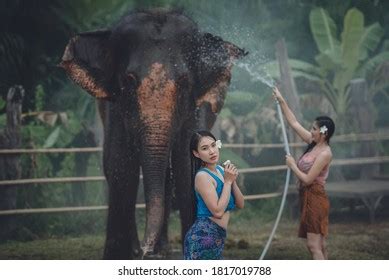 407 imagens de Mahout costume Imagens, fotos stock e vetores | Shutterstock